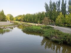 -大望京公园