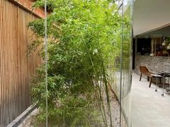 -曲廊院(东四十一条店)