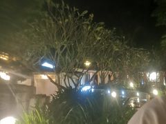 -碧水湾温泉