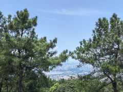 -铁山坪森林公园