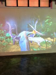 -恐龙探索乐园(磁器口店)