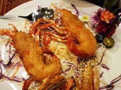 -顺德了能馆(虎门店)