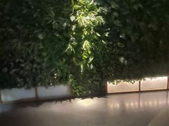 -新盈光·旗舰店(海曙苍松路店)