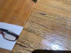 -老阿妈蒙古村·蒙古包·草原文化·歌舞表演(老君堂店)