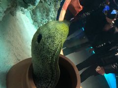 -海合安武汉极地海洋公园