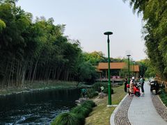 -杭州植物园