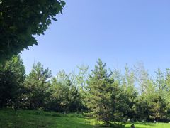 -马家湾湿地公园