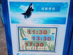 -上海海昌海洋公园