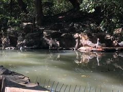 -兰亭风景区