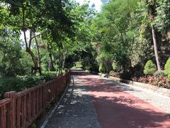-狐尾山公园