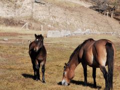-塞罕坝国家级自然保护区