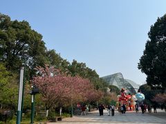 -南山植物园