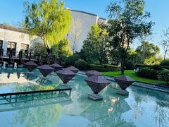 -上海崇明金茂凯悦酒店