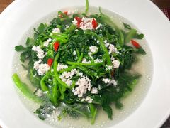 -张家卫·阳江菜·小海鲜(肥婆湾桥店)