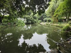 -成都市活水公园