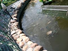 -八景休閒山莊  廣東十大名山莊
