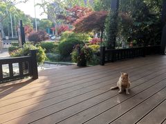 -荷风细雨·中国茶宴(碧云店)