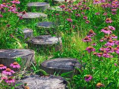 -汉长安城未央宫国家考古遗址公园