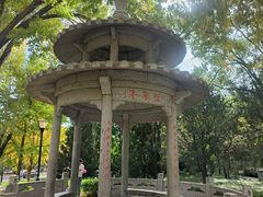 -玲珑塔公园