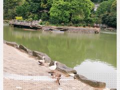 -广州市帽峰山景区