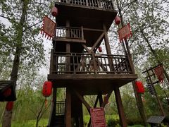 -合肥滨湖国家森林公园