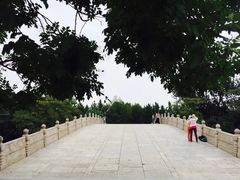 -赵州桥景区