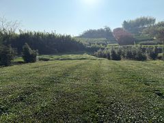 -漕溪路(地铁站)