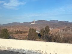 -中原大佛景区