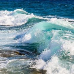 -薇兰专业脱毛连锁机构