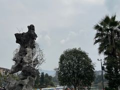 -枫香湖儿童公园