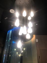 -美壹生诊所皮肤管理中心·海菲秀&Legacy美白舱