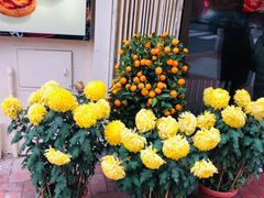 -安德鲁饼店(总店)