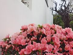 -龙华寺