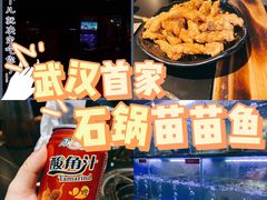 -石锅苗苗鱼(武汉首店)