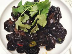 爽口小木耳-乾隆美食·本帮菜(黄河路店)