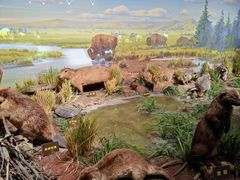 -陕西自然博物馆