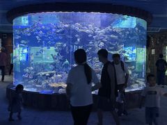 -左海海底世界
