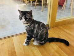 -有何Book(六堰体育馆店)