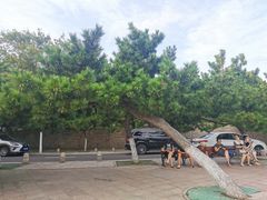 -青岛第二海水浴场