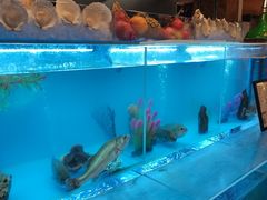 -怡咖啡·自助餐·西安香格里拉