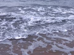 -阿弟特色海鲜餐厅·大排档(平潭店)