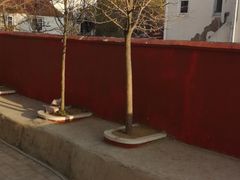 -青岛大学路小学