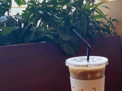 -Seesaw Coffee(朝阳大悦城店)