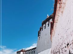 -布达拉宫