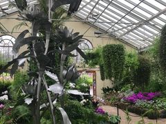-斐兹洛伊花园