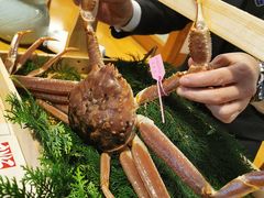 -蟹道乐(道顿堀本店)