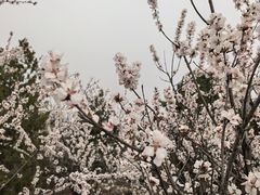 -白水寺森林公园