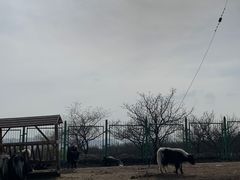 -大青山野生动物园