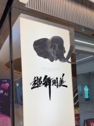 -YASAKI国际舞蹈中心