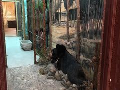 -北京动物园-畅观楼